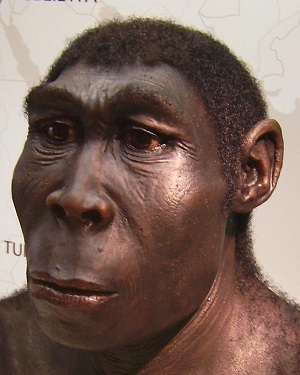 人類は「スカベンジャー(腐肉食)」として進化してきた?の画像1