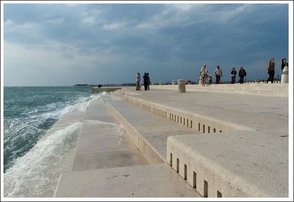 seaorgan