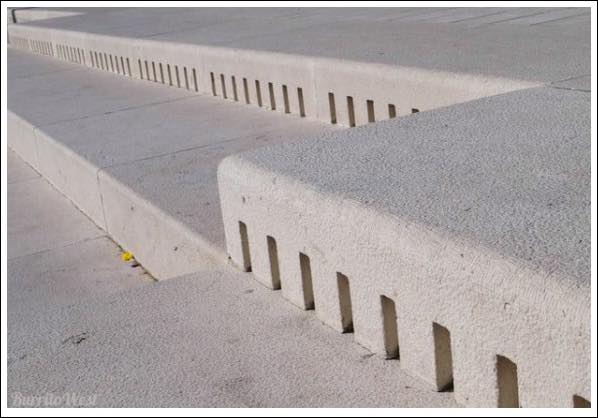 seaorgan5