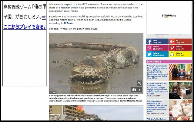 メキシコの浜辺で伝説の海洋UMA「シーサーペント」が打ち上げられたか! キモすぎる謎クリーチャーの正体とは?の画像1