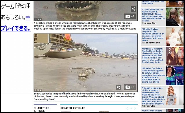 メキシコの浜辺で伝説の海洋UMA「シーサーペント」が打ち上げられたか! キモすぎる謎クリーチャーの正体とは?の画像2
