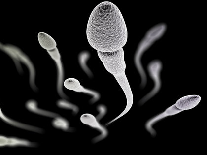 世界初「精液の成分研究プロジェクト」が始動!生活習慣の改善が男性の「受精力」を高めるの画像1