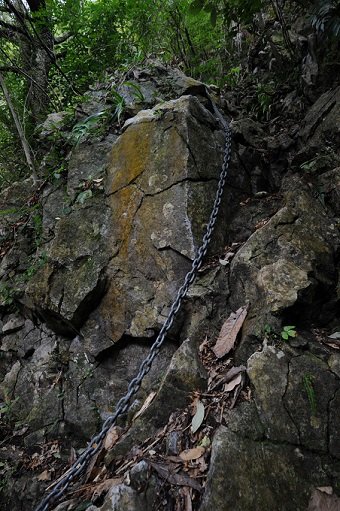 【閲覧注意・九州】2万体の頭蓋骨を祀る聖地「シシ権現」! 骨には鮮血が滴り、肉片も…現地取材!の画像3