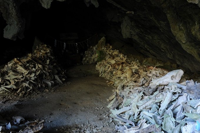 【閲覧注意・九州】2万体の頭蓋骨を祀る聖地「シシ権現」! 骨には鮮血が滴り、肉片も…現地取材!の画像7