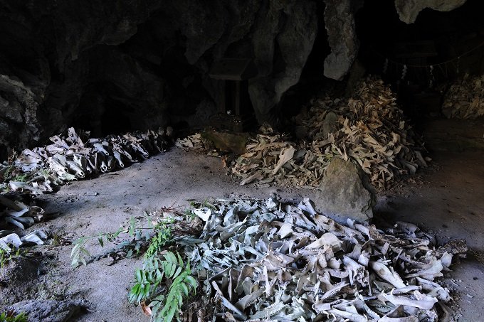 【閲覧注意・九州】2万体の頭蓋骨を祀る聖地「シシ権現」! 骨には鮮血が滴り、肉片も…現地取材!の画像8