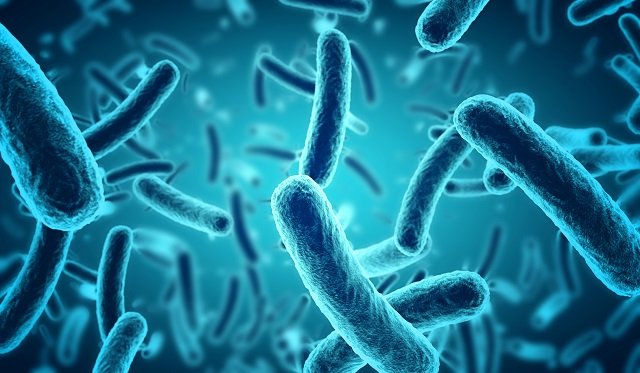 空には大量のウイルスが正気じゃないほど含まれていると新判明! 「大気中を移動し、全世界に降り注ぐ」カナダ教授の画像2