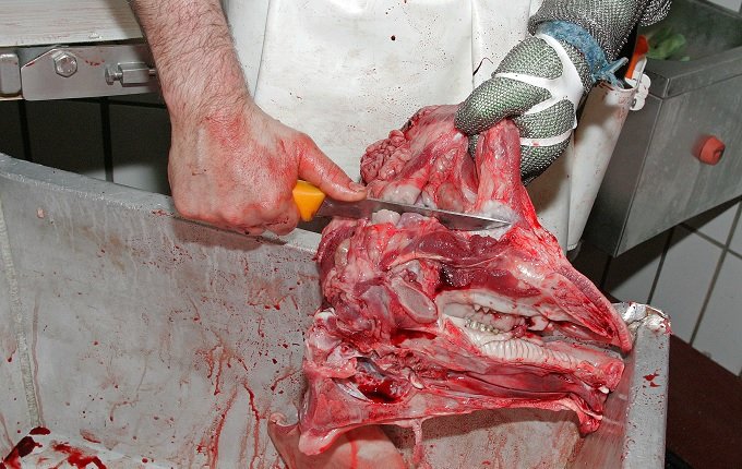 slaughter.jpg