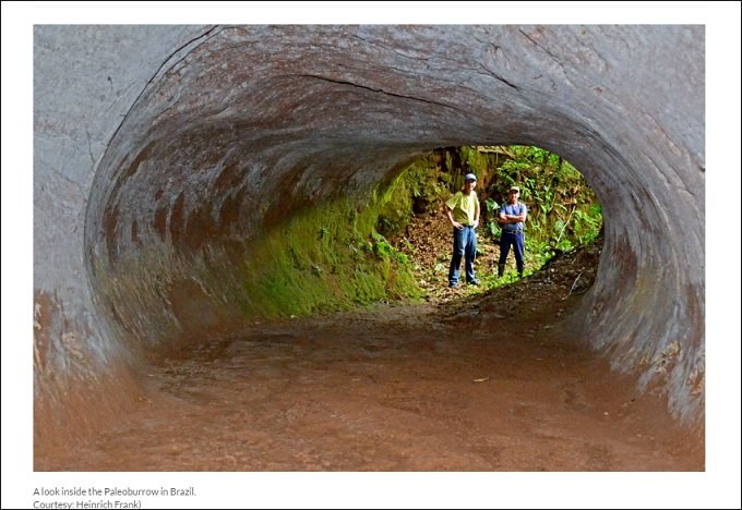 アマゾン奥地の洞窟トンネル、謎の超巨大古代生物が掘ったことが判明！ 体重4tで2足歩行、鋭い鉤爪… 今も生存か!?の画像1