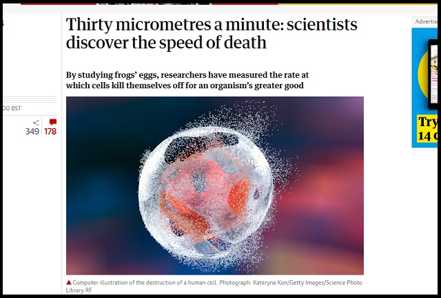 「死のスピード」が最新研究で遂に判明!! 想像以上に遅い時速…死を操る手がかりにも!の画像2
