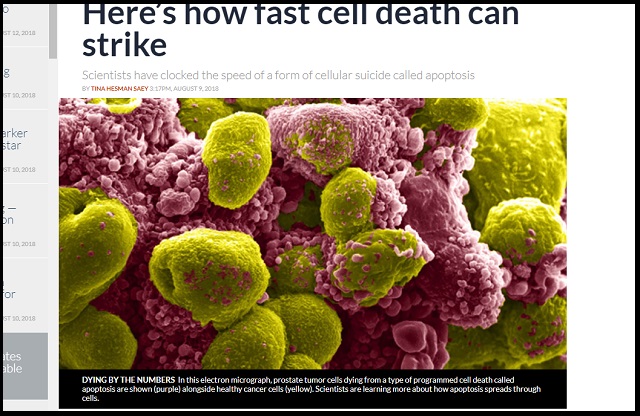 「死のスピード」が最新研究で遂に判明!! 想像以上に遅い時速…死を操る手がかりにも!の画像3