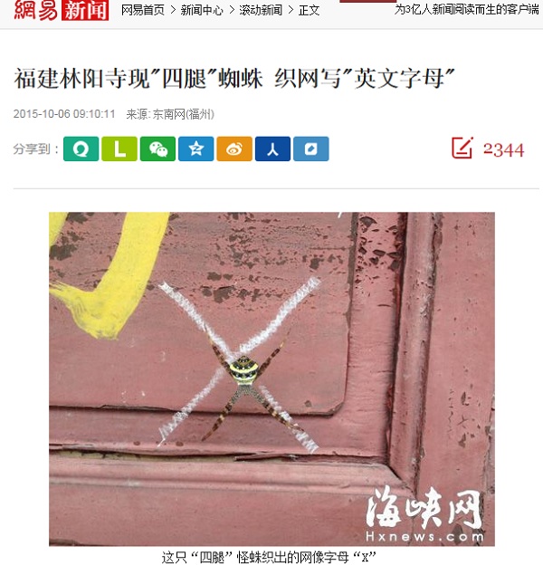 「中国人はホント大したことねえわ」中国に4本足の奇形蜘蛛が現れるも、なぜか発見者に非難集中!?の画像2