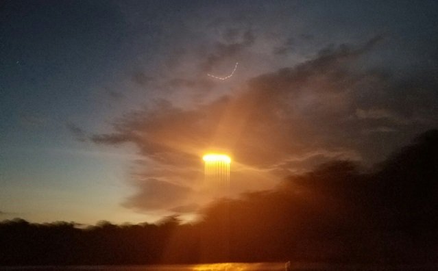太陽から「クラゲのような巨大触手」が発現、擬態UFOの仕業か? 謎のシェブロンUFOも同時出現、専門家「過去にも同じ宇宙船が」=米の画像1