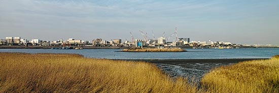 NASAが猛追するホームレス 日本の28人に選ばれた科学者は今…の画像2