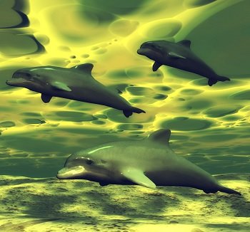 鳥取の大地震は完全に予測されていた! 動物の異変、地殻変動、謎の虹、体感… 前兆現象のオンパレード!!の画像2