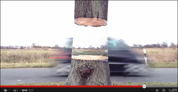 tree5.jpg