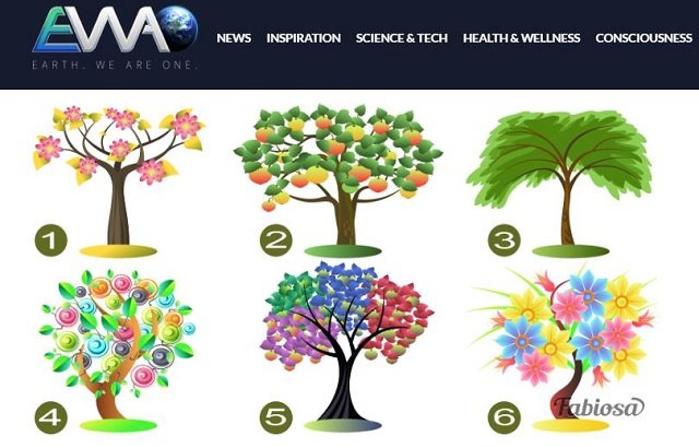 【性格診断心理テスト】6つの木の絵から1つを選択するだけで、あなたの本当の性格と能力が判明する！の画像1