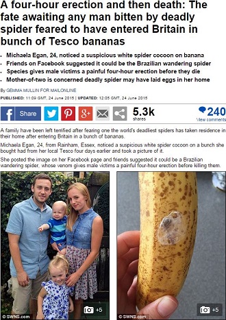 2ページ目 噛まれたら4時間勃起した後に死ぬ スーパーで買ったバナナに 世界最強の毒グモ 英国ｰトカナ