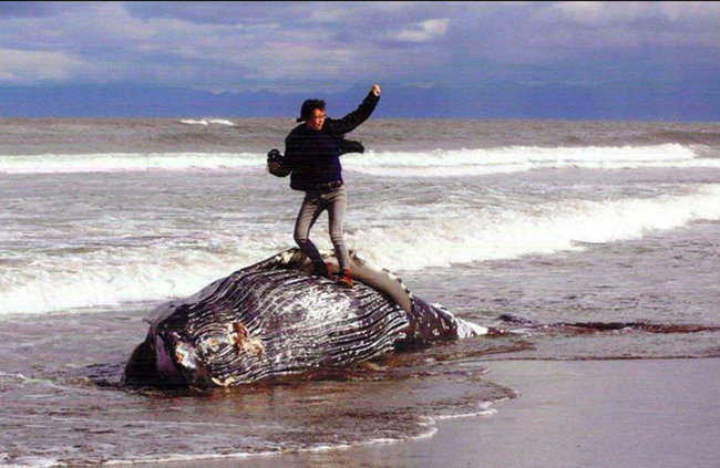 【大炎上のクジラ死骸写真】「命の冒涜というよりも…」複数の写真家に意見を聞いてみたの画像1