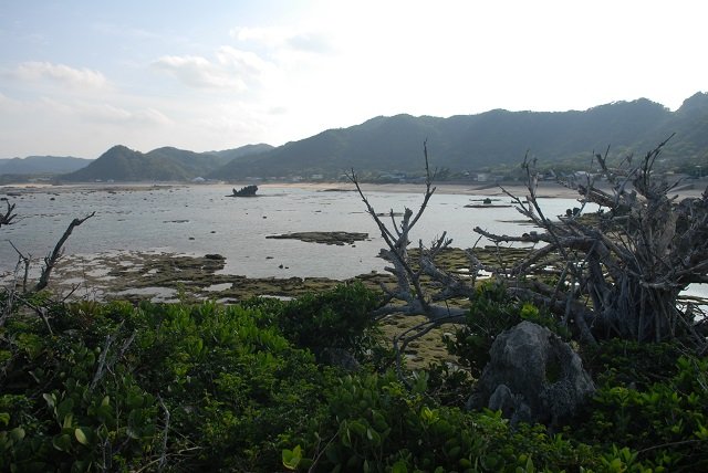 【奇葬】ヤドカリ葬の島『ニャーデバナ』、現地民が絶対に近づかない奄美大島の聖地を取材! 「肉を吸い取る音が聞こえてきた」の画像3