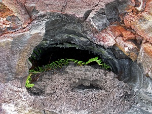 yougancyubu.jpg