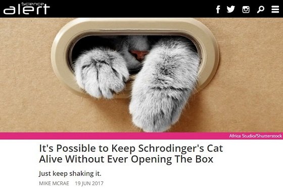 「シュレーディンガーの猫」、箱を開けなければ不老不死だった！ 「量子ゼノ効果」の謎すぎる実験結果が証明！の画像1