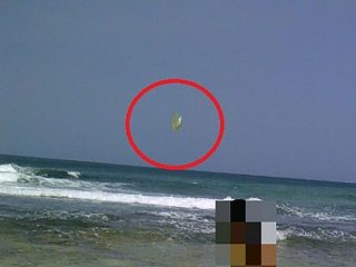鳥？ モスマン？ ビーチで撮影された奇妙な黄色い生物＝インドネシア