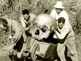 巨人と人間のクォーターに取材？ソロモン諸島で連日目撃される食人巨人族！