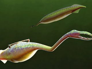 3億年前に海底で生きていた奇妙すぎるイキモノ「タリーモンスター」の想像を絶する姿が最新技術によって判明！