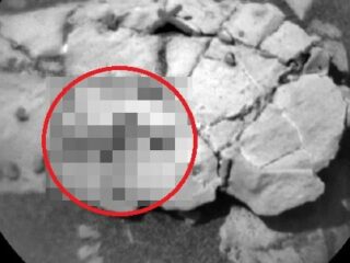 NASAが火星の「クネクネ芋虫」画像をTwitterに掲載、本気で調査へ！ 生物学者もガチ興奮「生命の痕跡の可能性大」