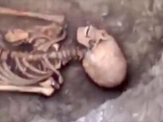 ロシアで正体不明「古代エイリアン女性」の骸骨が発見される！ 謎の長頭、白すぎる歯… “パラカスの頭蓋骨”と関連か!?