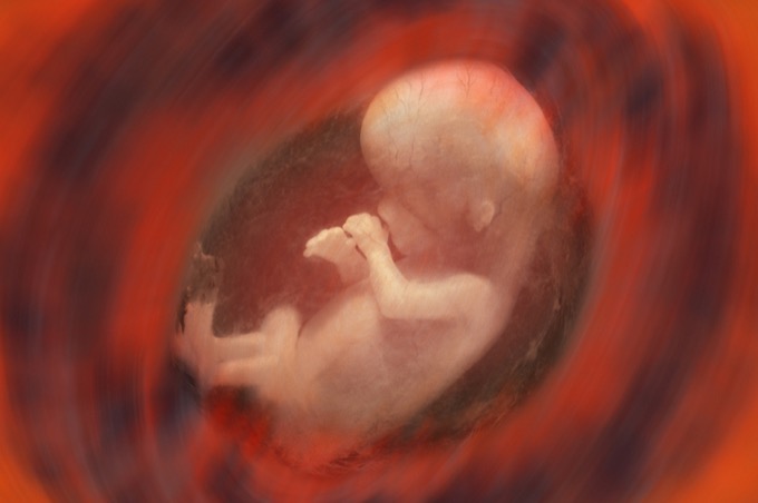 中絶胎児をマウスに融合「ヒト化ネズミ」爆誕へ！ 恐怖のフランケンシュタイン実験が米国で進行中！の画像3