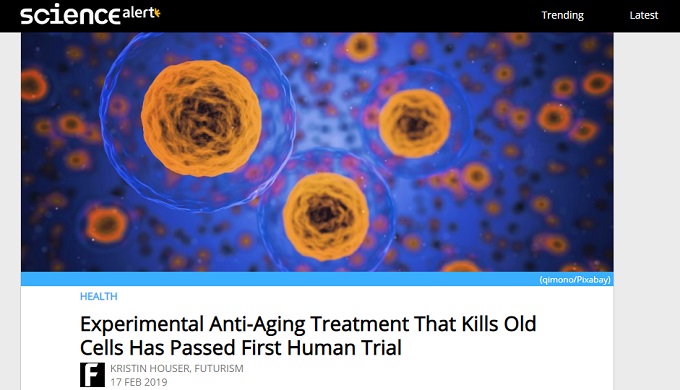 老化した細胞を殺す物質「ダサニチブ」実験が人間でも成功！ 永久に若い肉体ゲットもうすぐ！の画像1