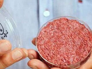 【禁忌】“人間の細胞”で作った培養肉はカニバリズムのタブーを打ち破る？ リチャード・ドーキンスの問いに世界が激論！