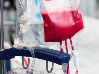 「若者の血液を輸血すると病気になりにくい」ネイチャーに論文掲載！ 戦慄のアンチエイジング最前線