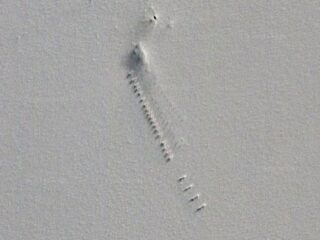 南極に隠された22個の「謎の巨大構造物」がグーグルアースで発見される！ 滑走路や真四角の物体…エイリアンの秘密基地か！