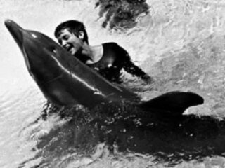 NASA出資の実験中に「イルカとのセックス」に溺れた女研究者「こすりつけがエスカレートして…」