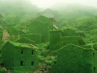「緑に飲み込まれた村」 ― 中国・枸杞（クコ）島の「後頭湾村」が神秘的すぎる!! まるでおとぎ話のような秘境！