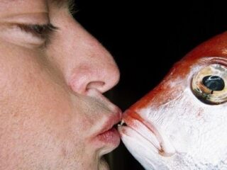 池上彰も触れない、海の水質悪化で「魚たちがセックス狂になる」可能性とは!? 下水に流れ込む抗うつ薬が原因！
