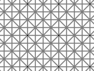 視覚トリックで脳が騙される「絶対に同時には見えない12個の黒い点」