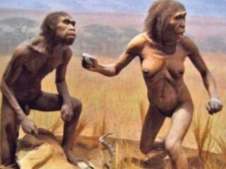 人類進化史に革命が起きる？ “ホビット”と呼ばれたフローレス原人は、奇形か新種人類か？