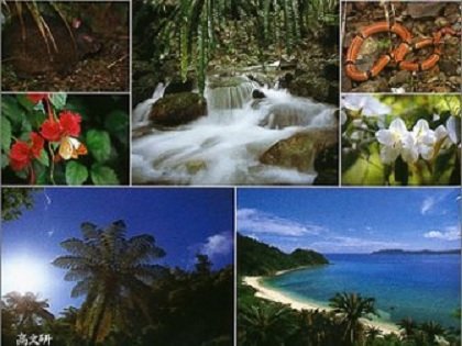 現代の秘境 奄美大島の 知られざる歴史 が身震いするレベル 犬食文化に赤ん坊の首切りも