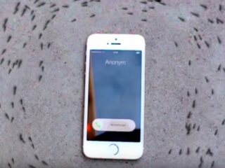iPhoneの電磁波で蟻が“死ぬまで”グルグル回る？「デス・スパイラル」現象の恐怖映像!!