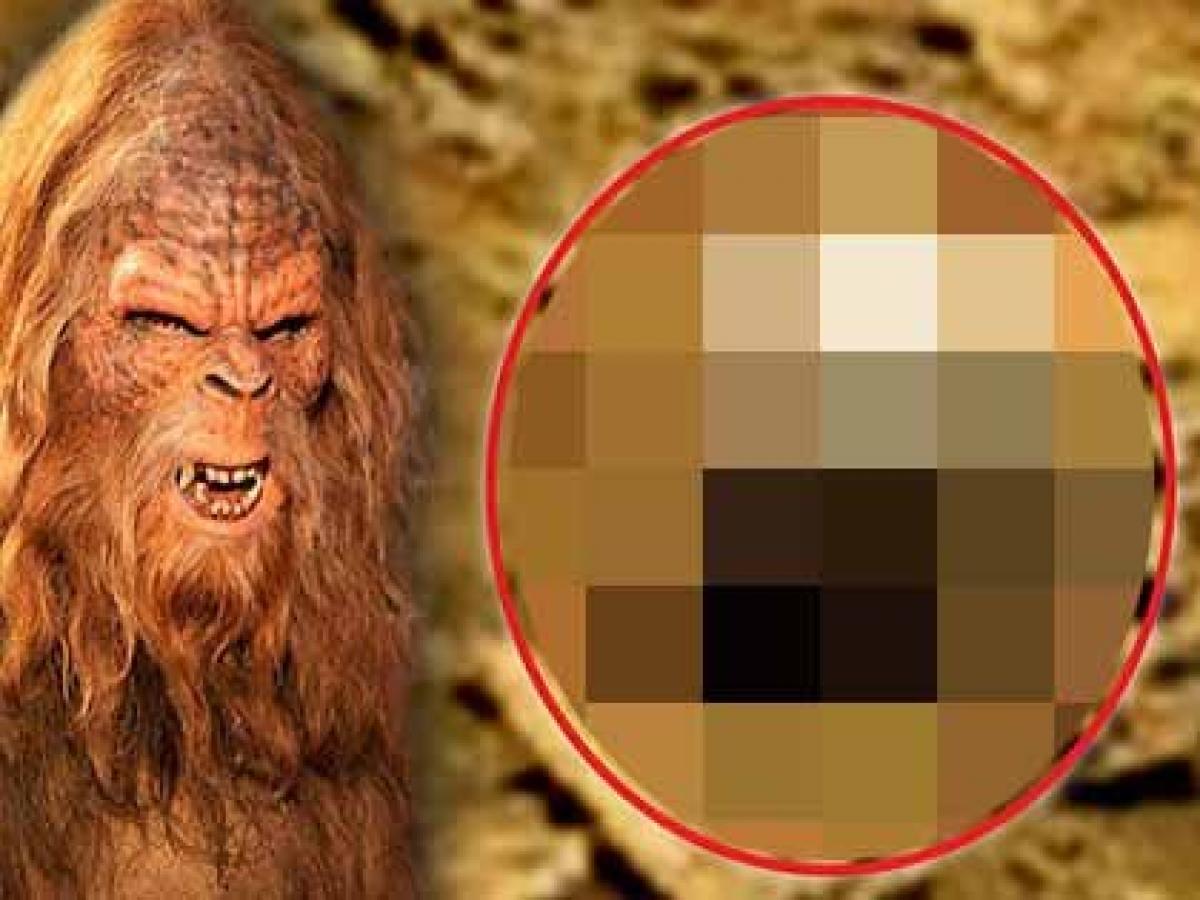 火星に ビッグフットの頭蓋骨 が転がっていた Umaとは地球外生命体だったのか