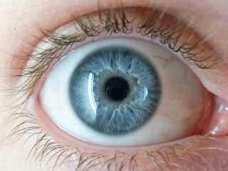 青い目の人間は、たった1人の共通祖先を持っていることが判明！ 遺伝子HERC2の突然変異がもたらした神秘