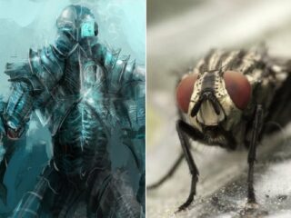 米軍が「昆虫の脳と意識」をもつAIロボット“昆虫兵士”の研究開始！ 反乱の危険性も…（最新研究）