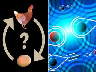 「ニワトリとタマゴ、どちらが先か」問題で量子論がついに最終解答！ 「原因→結果」を超えた“非限定的因果順序”とは!?