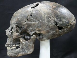 韓国で新羅時代の「コーンヘッド」頭蓋骨が発掘され衝撃広がる！ 日本人の遺骨の可能性も？