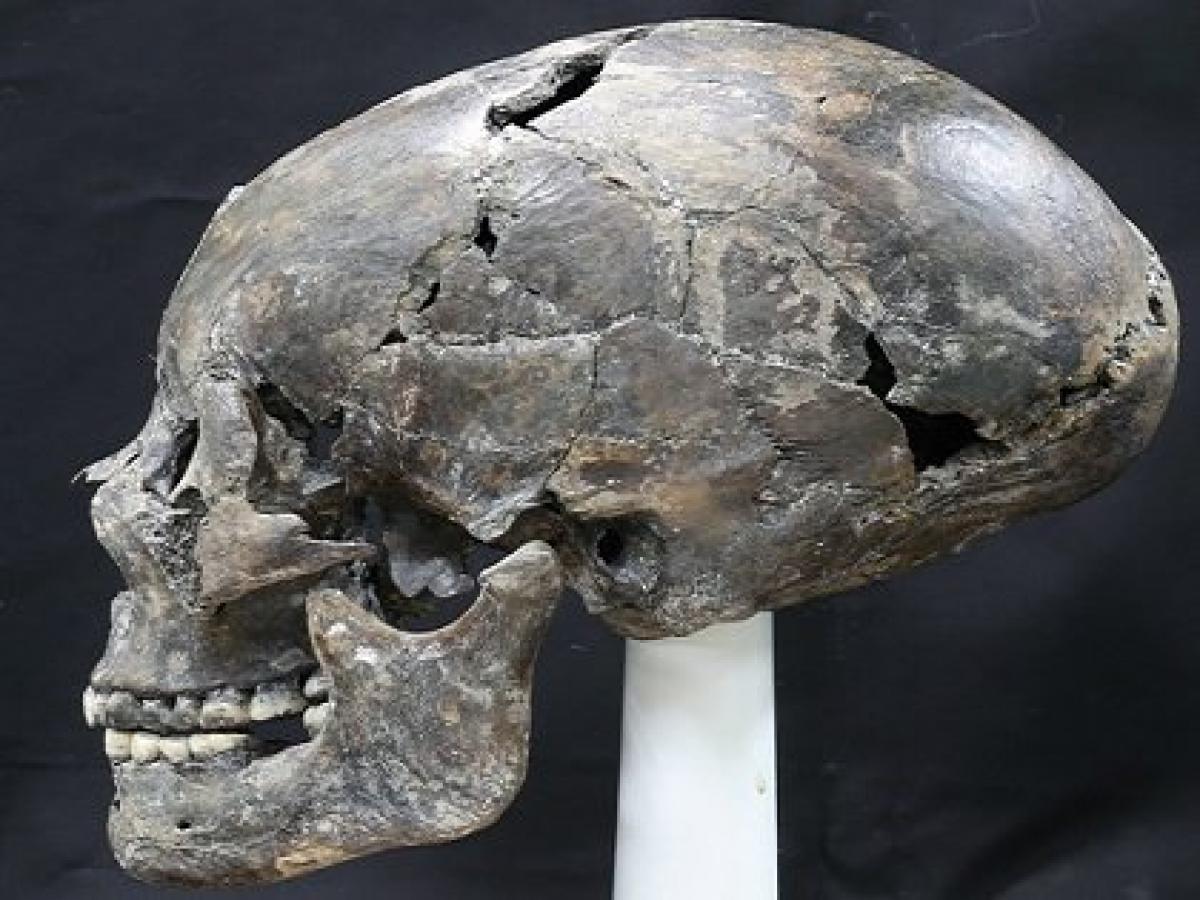 韓国で新羅時代の コーンヘッド 頭蓋骨が発掘され衝撃広がる 日本人の遺骨の可能性も