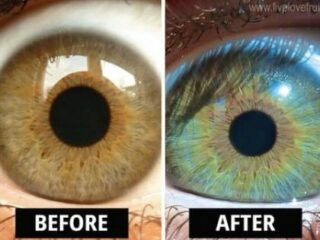 瞳の色は誰でも変えられる？黒目→青目になるカギは数年間◯◯を食べ続けることだった？