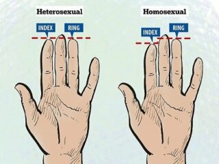 薬指が人差し指よりも長い人ほど同性愛者の傾向！ 原因は子宮内で浴びる男性ホルモン量か!?